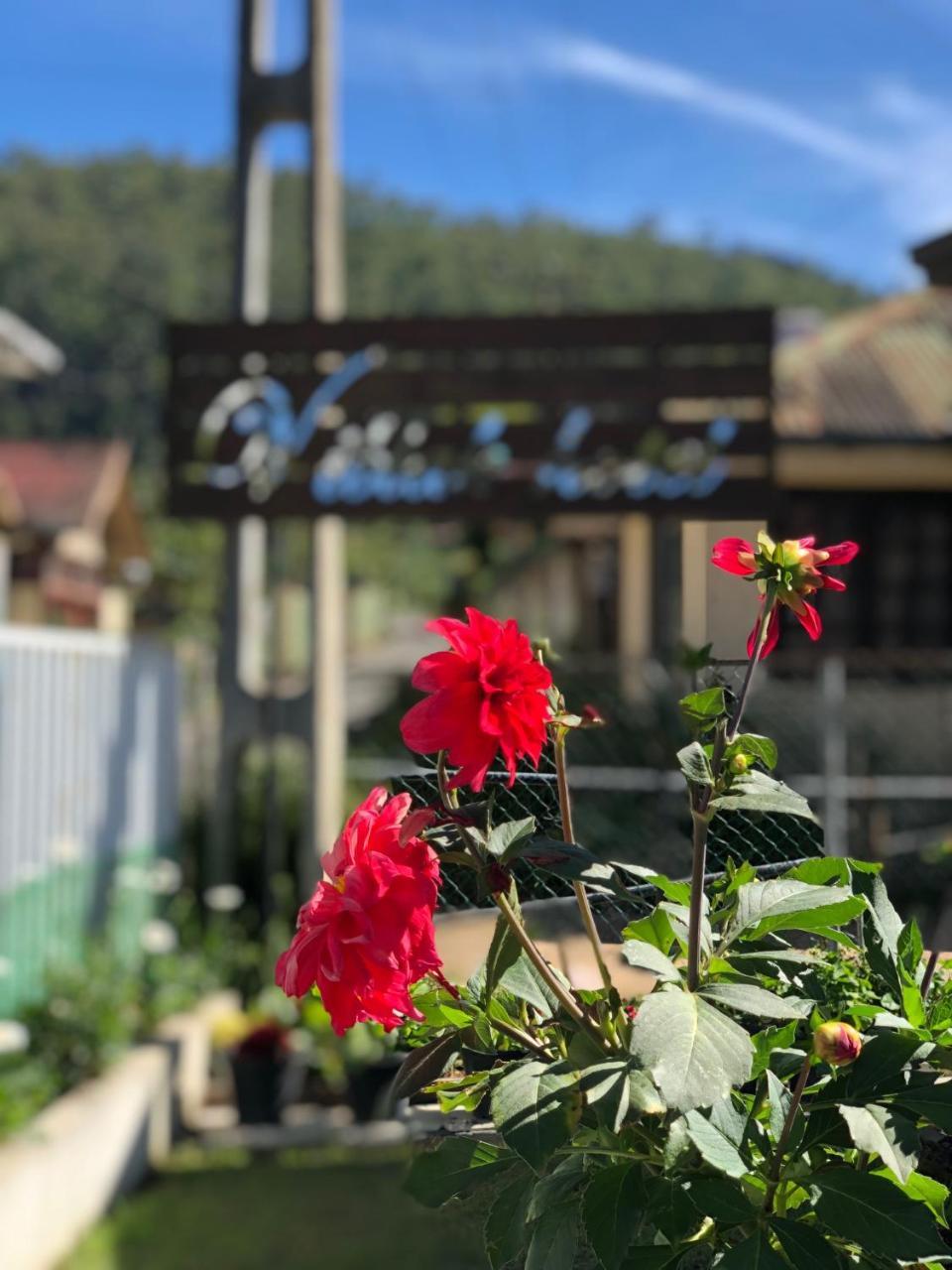 Viblak Heritage Hotel Nuwara Eliya Ngoại thất bức ảnh