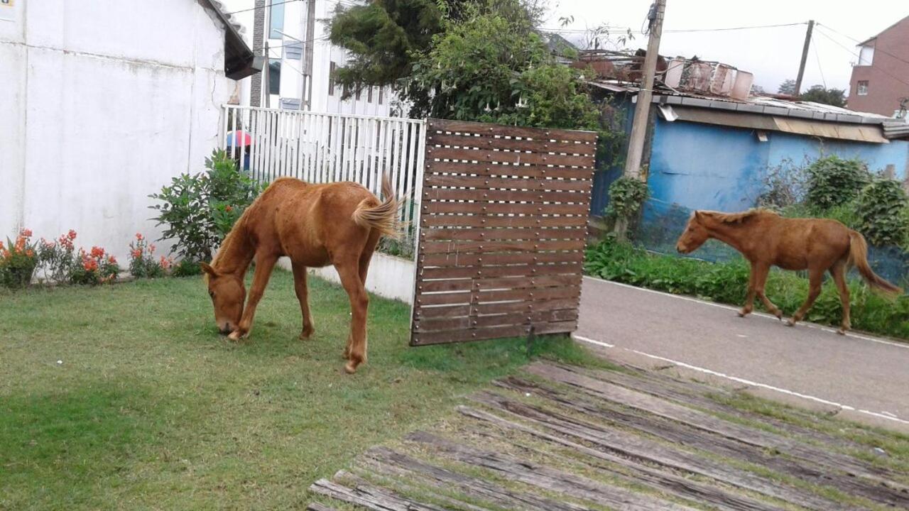 Viblak Heritage Hotel Nuwara Eliya Ngoại thất bức ảnh